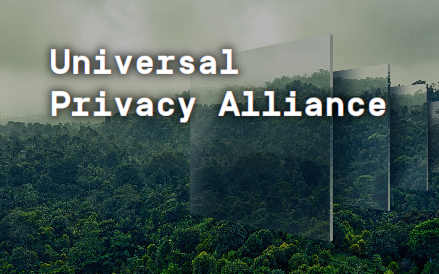 Entrevista a Kenny Li, miembro de la Universal Privacy Alliance